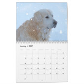 Mural Calendrier Golden Retriever 2026 (Jan 2027)