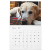 Mural Calendrier Golden Retriever 2026 (Feb 2027)
