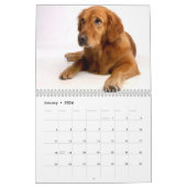 Mural Calendrier Golden Retriever 2026 (Jan 2026)