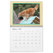Mural Calendrier Golden Retriever Agilité (Feb 2027)