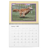 Mural Calendrier Golden Retriever Agilité (Jan 2027)