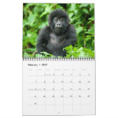 Mural Calendrier - gorilles de montagne du Rwanda (Feb 2027)