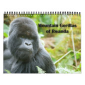 Mural Calendrier - gorilles de montagne du Rwanda (Protection)