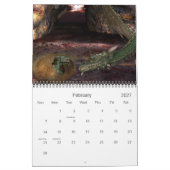 Mural Calendrier Imaginaire KRW (Feb 2027)