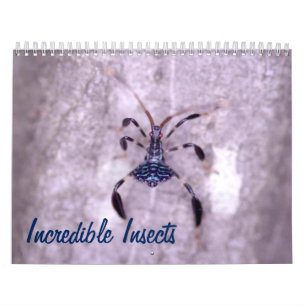 Mural Calendrier incroyable d'insectes