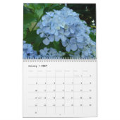 Mural Calendrier Jardins Floraux Botaniques HYDRANGEAS (Jan 2027)