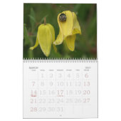 Mural calendrier jaune pour 2013 (Mar 2027)