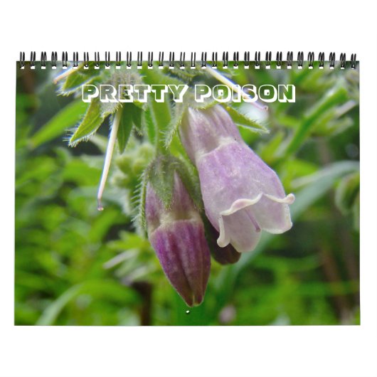 Mural Calendrier - Joli poison (Protection)