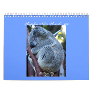 Mural Calendrier junior de koala