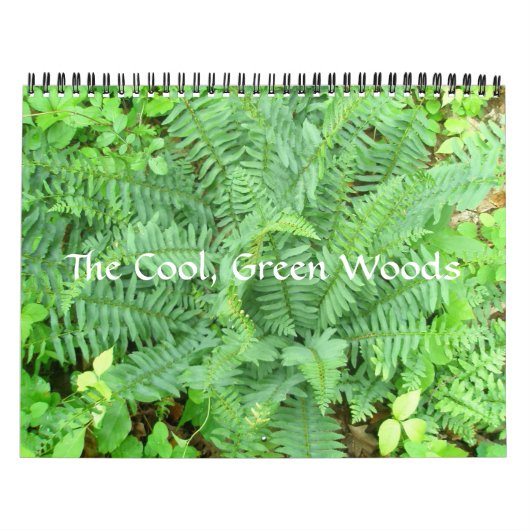 Mural Calendrier - Le Cool, Green Woods (Protection)