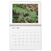 Mural Calendrier - Le Cool, Green Woods (Mar 2026)