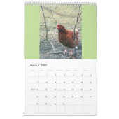 Mural Calendrier libre des poulets 2016 de gamme (Mar 2027)