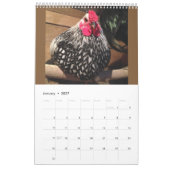 Mural Calendrier libre des poulets 2016 de gamme (Jan 2027)