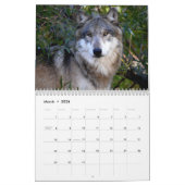 Mural Calendrier - loups - 2014 (Mar 2026)