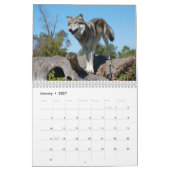 Mural Calendrier - loups - 2014 (Jan 2027)