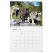 Mural Calendrier - loups - 2014 (Feb 2027)