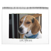 Mural Calendrier LOVEMAX 2012 (Protection)