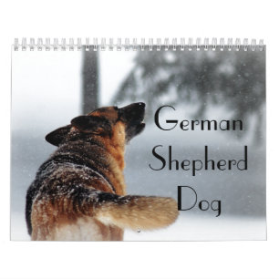 Mural Calendrier magnifique de chien de berger allemand