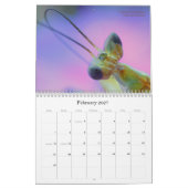 Mural Calendrier Mantidforum haute résolution 2016 (Feb 2027)