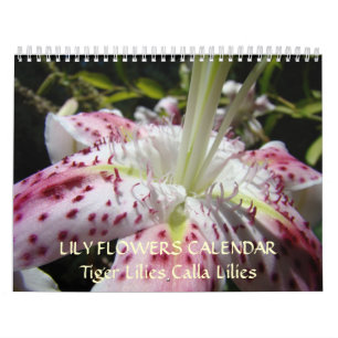 Mural CALENDRIER MENSONGES Calla Rose Lily Fleurs Tiger