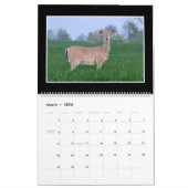 Mural Calendrier mensuel des cerfs communs 2018 par (Mar 2026)