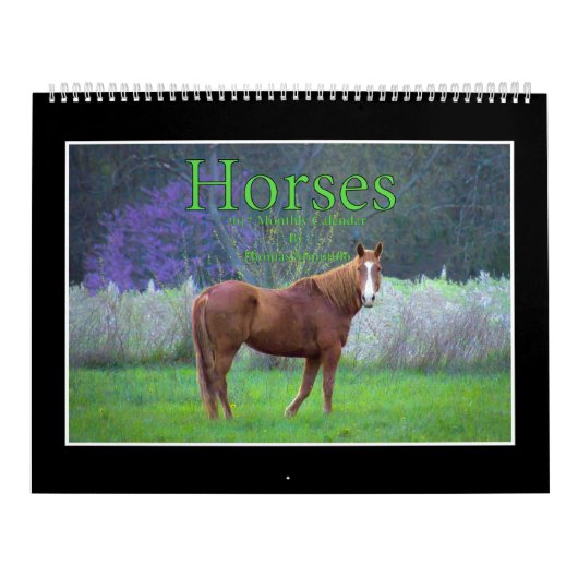 Mural Calendrier mensuel des chevaux 2017 par Thomas (Protection)