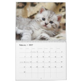 Mural Calendrier mignon de chatons (Feb 2027)