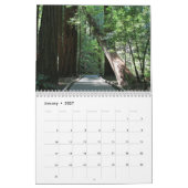 Mural Calendrier Muir Woods (Jan 2027)