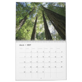 Mural Calendrier Muir Woods (Mar 2027)
