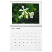 Mural Calendrier : Nature sensible (Mar 2026)