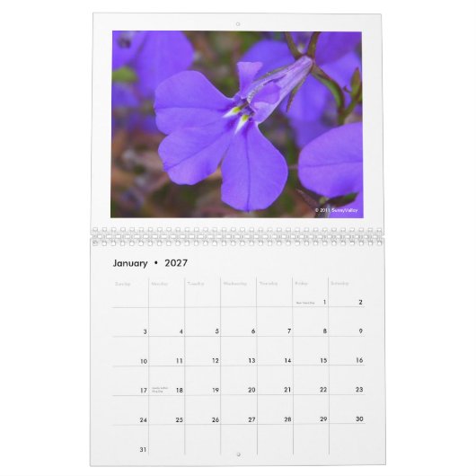Mural Calendrier : Nature sensible (Jan 2027)