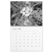 Mural Calendrier naturel 2015 (Jan 2027)