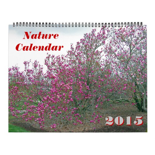 Mural Calendrier naturel 2015 (Protection)
