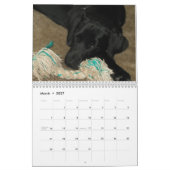 Mural Calendrier noir de labrador retriever de (Mar 2027)