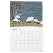 Mural Calendrier Oiseaux (Feb 2027)