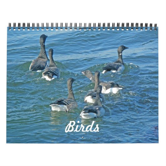 Mural Calendrier Oiseaux (Protection)