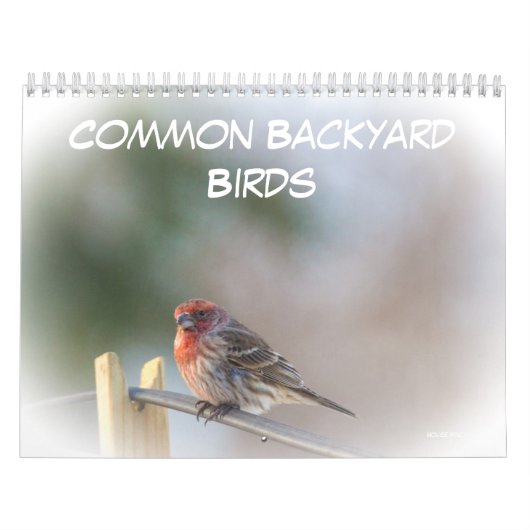 Mural Calendrier - Oiseaux communs de Jardin (Protection)