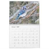 Mural Calendrier - Oiseaux communs de Jardin (Jan 2027)