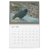Mural Calendrier - Oiseaux de la vallée du Perkiomen (Mar 2026)