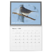 Mural Calendrier - Oiseaux de la vallée du Perkiomen (Feb 2026)