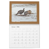 Mural Calendrier - Oiseaux de la vallée du Perkiomen (Jan 2026)