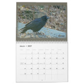 Mural Calendrier - Oiseaux de la vallée du Perkiomen (Mar 2027)