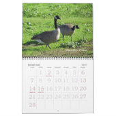 Mural Calendrier - Oiseaux (grandes dates) (Feb 2027)