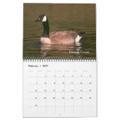 Mural Calendrier - Oiseaux pour le Nouvel An (Feb 2027)