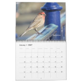 Mural Calendrier - Oiseaux pour le Nouvel An (Jan 2027)