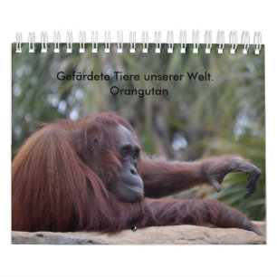 Mural Calendrier orangutan