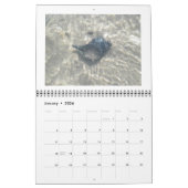 Mural Calendrier - Par la mer magnifique (Jan 2026)