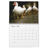 Mural Calendrier personnalisé des oiseaux (Feb 2027)