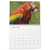 Mural Calendrier personnalisé des oiseaux (Jan 2027)