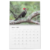 Mural Calendrier personnalisé des oiseaux (Mar 2027)